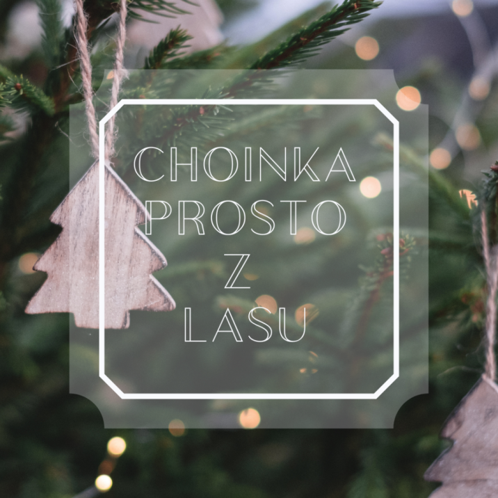 Zdjęcie przedstawia gałęzie choinki i zawieszone na nich drewniane ozdoby z napisem "Choinka prosto z lasu". Fot. Canva