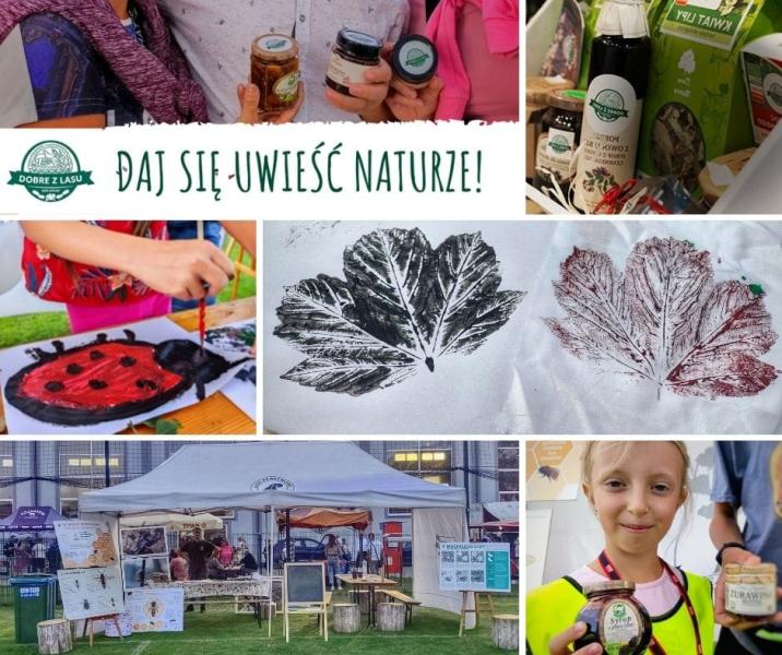 kolaż&#x20;zdjęć&#x20;przedstawiające&#x20;stoisko&#x20;edukacyjne&#x20;Nadleśnictwa&#x20;Turek