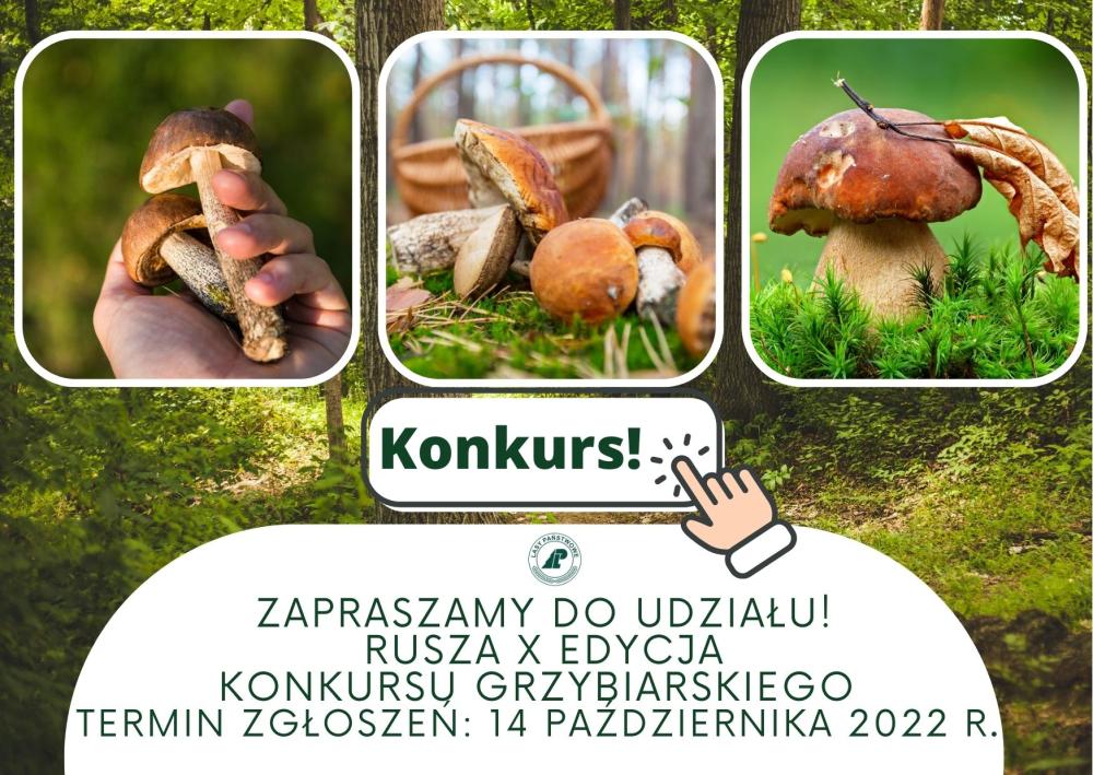plakat&#x20;konkursowy