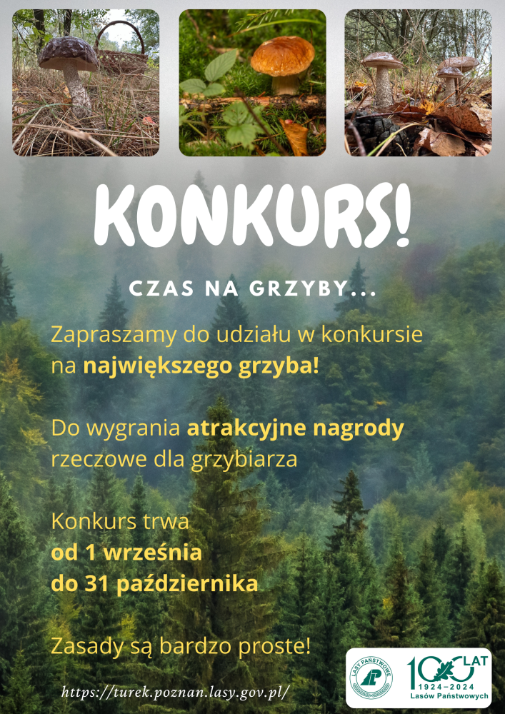 Plakat&#x20;konkurs&#x20;grzybiarski