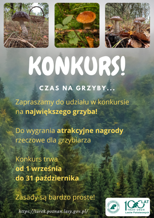 Plakat&#x20;konkursu&#x20;grzybiarskiego