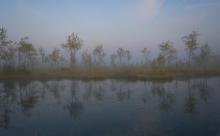 2 lutego obchodzimy World Wetland Day, czyli Światowy Dzień Mokradeł