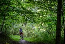 🌲 Majówka 25 – Las dla wszystkich, ale bezpiecznie! 🌲